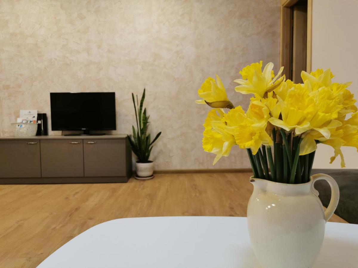 Central Apartments Nojus ドルスキニンカイ エクステリア 写真